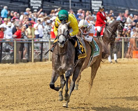test stakes 2023 replay|MAPLE LEAF MEL .